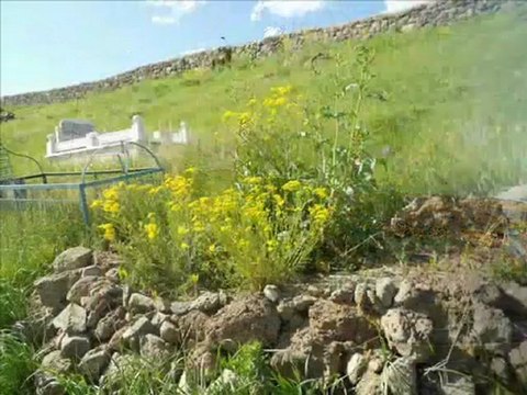 Ardahan türküleri tolga sağ göleli gelin türküsü @ MEHMET ALİ ARSLAN Videos