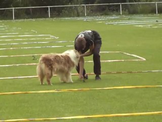 cavage pradines 2012 up