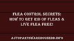 Flea Control Secrets How To Get Rid Of Fleas & Live Flea Free