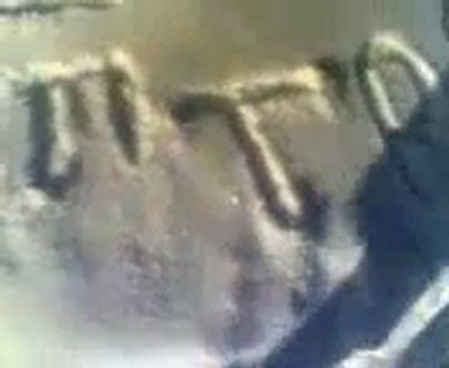 Chinese Fan in the snow