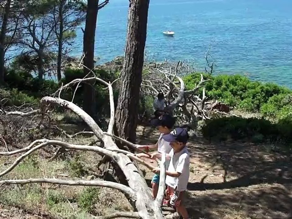 17 06Au cap Taillat (Var)
