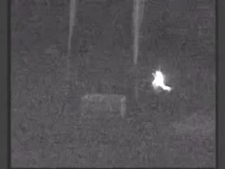 UFO . (Ghost .Orbe.alien)?