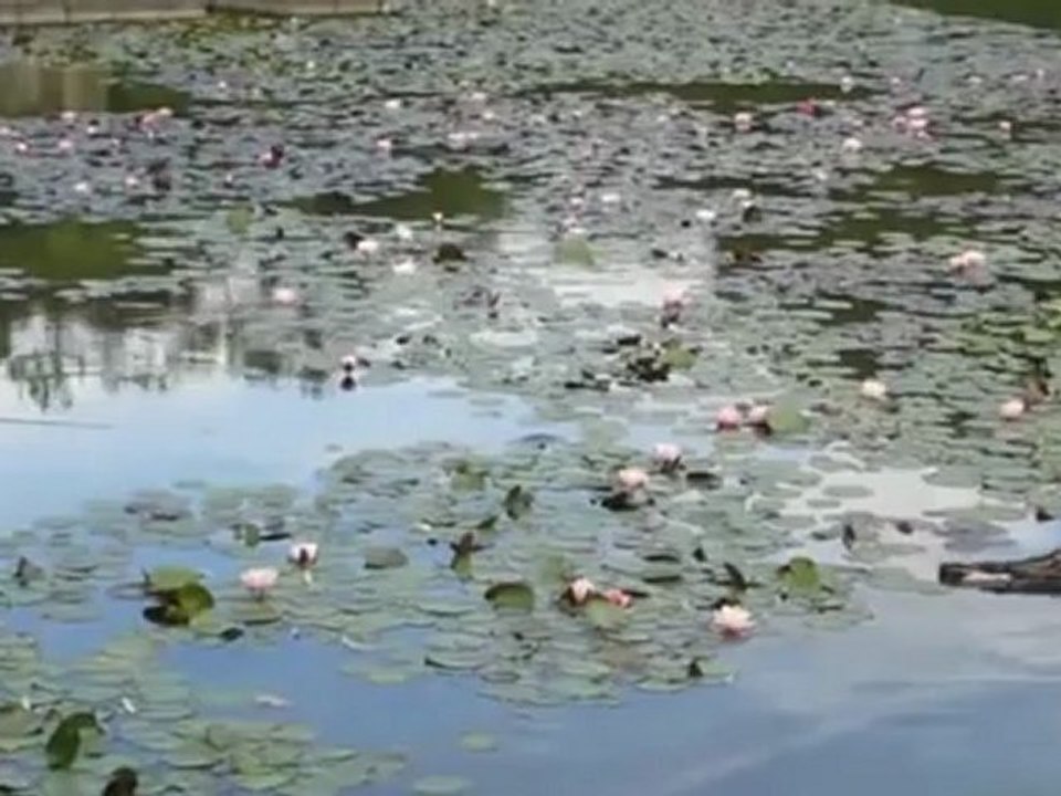 A1 Einführung Was ist das?