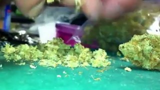 Smoking Weed - Rolling A Light Of Jah Joint