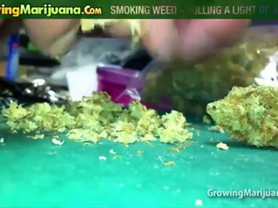 Smoking Weed - Rolling A Light Of Jah Joint