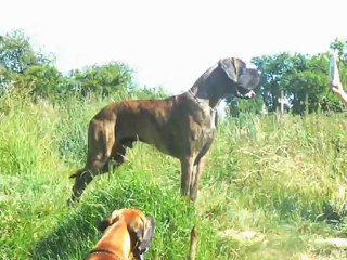 chez Mimi le 16 06 12 069