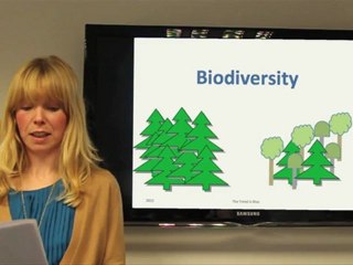 The Significance of Biofuels - The Trend Is Blue - By Jillian Watt