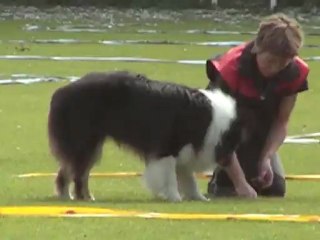 cavage pradines 2012 dare