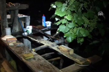 Ayılar, üreticiyi mucit yaptı