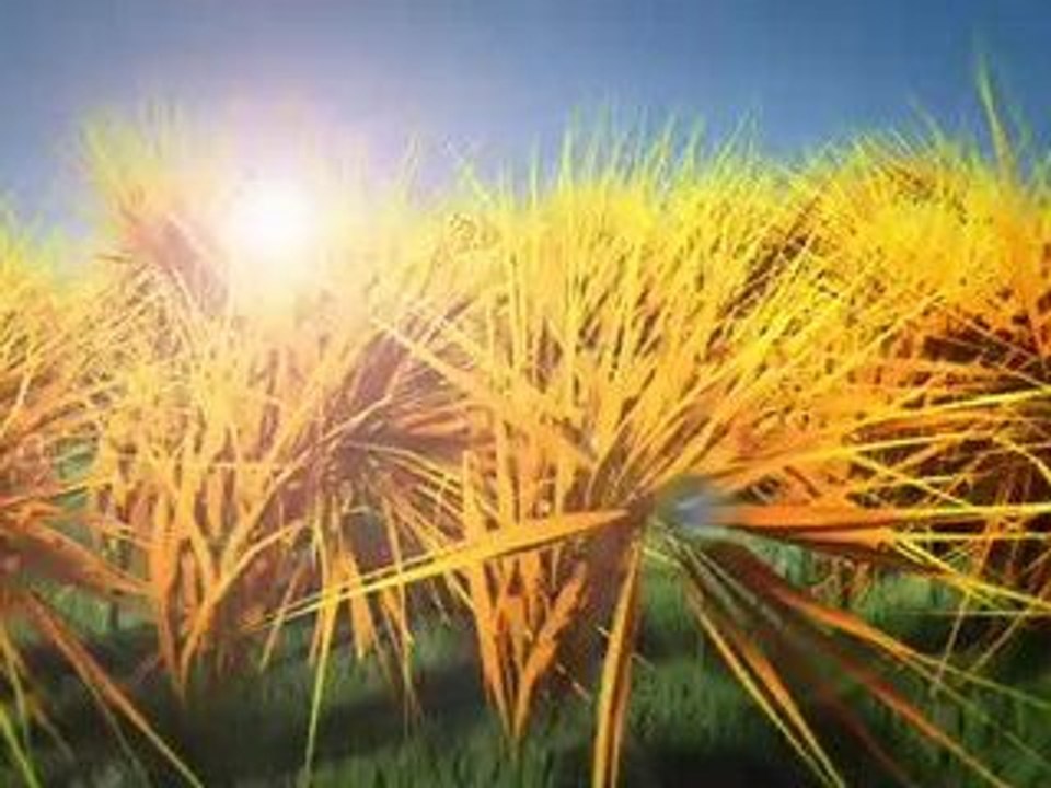 Crystals - Monkeymen.tv:  Roots Nine