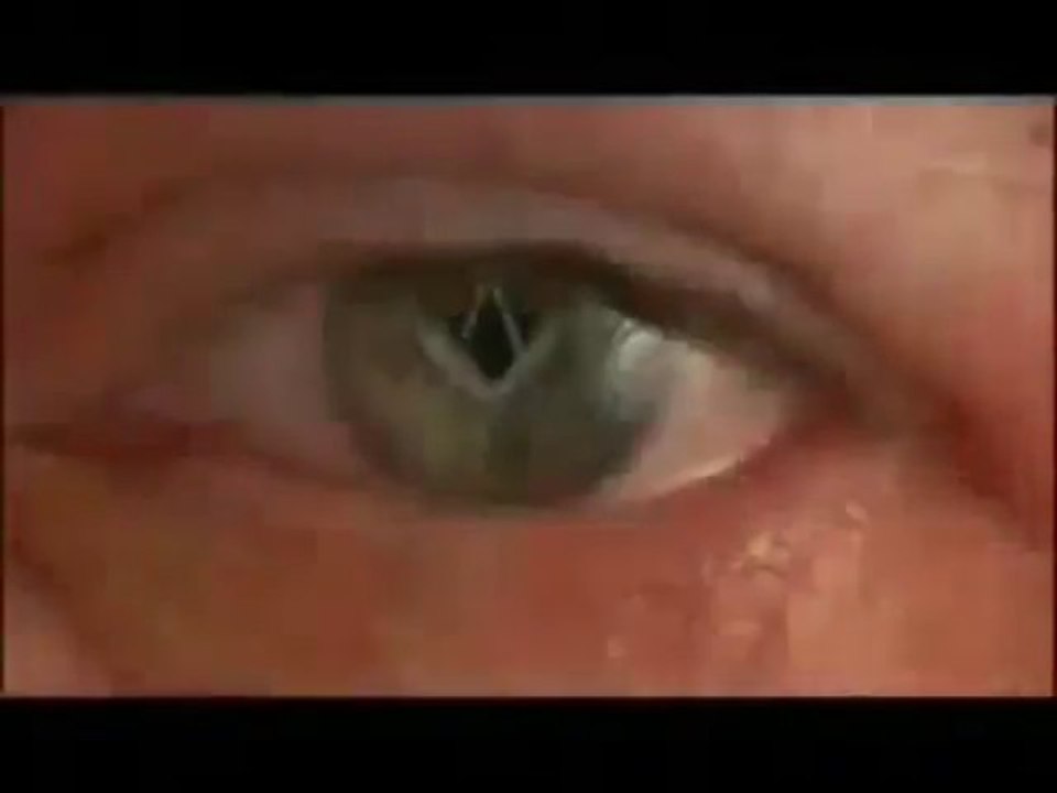 Prodigy- Real Power Is People (Illuminati)