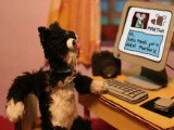 On the Internet, nobody knows you’re a dog (stop-motion PSA)