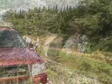 Car flys off Trans Canada Highway into Trees near Havelock