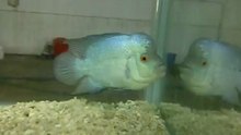VID-20120605-00000