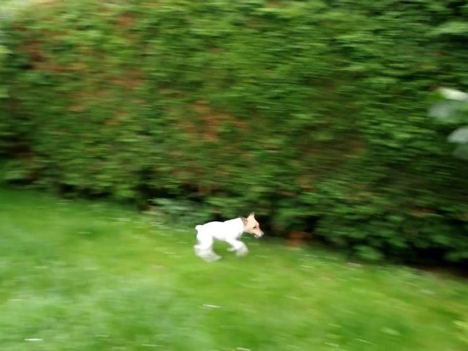 Guess, Edge and Bluetooth