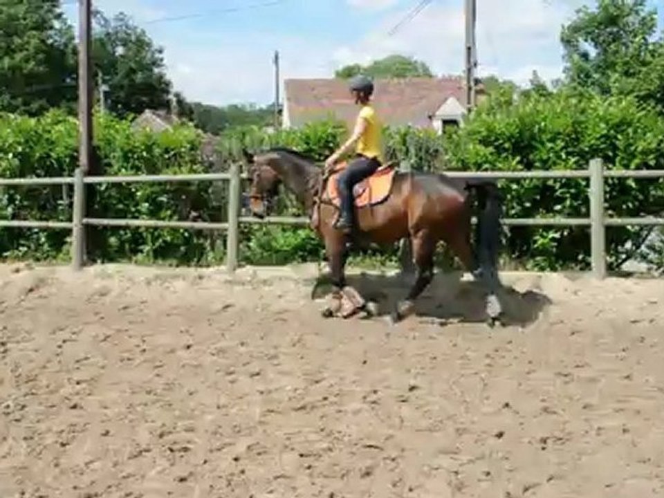 croix so bof et marion