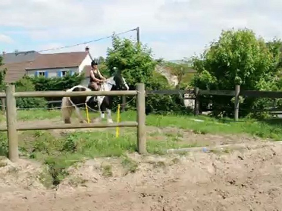 CH trot alice