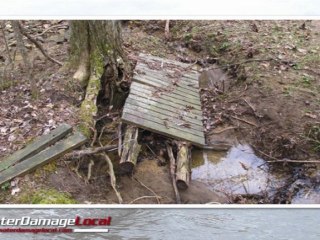 Buffalo Grove Flood Clean Up