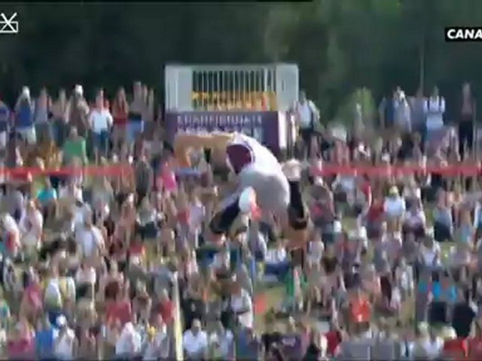 France Elite 2012, 110m haies  hommes finale
