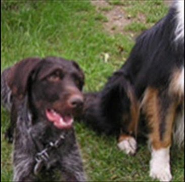 business-club-mallorca.com | Business Club Mallorca | Business Club Baleares