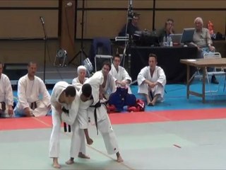 Demonstration Bunkai coupe du Samouraï 2012