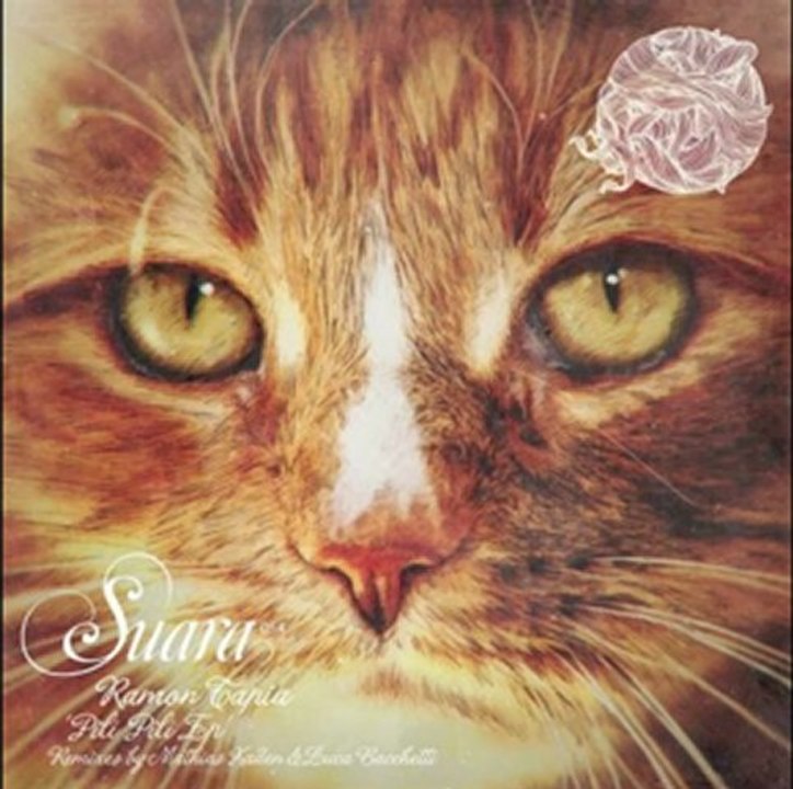 Ramon Tapia - Pili Pili (Mathias Kaden "Pili Tripi" Remix) [Suara]