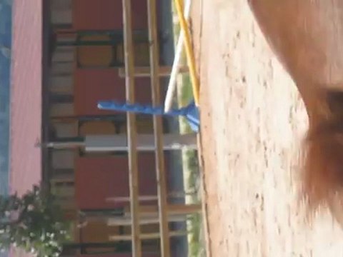 British et moi en saut pour le passage de galop 2 ^^