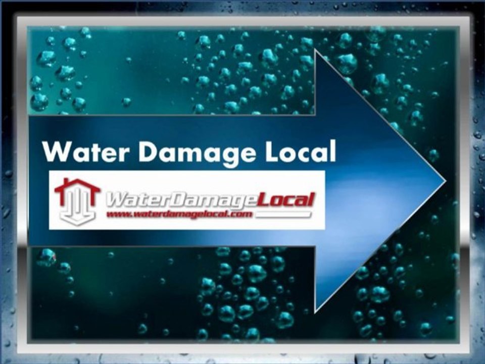 Water Damage Local - Houston, TX - Storm Damage