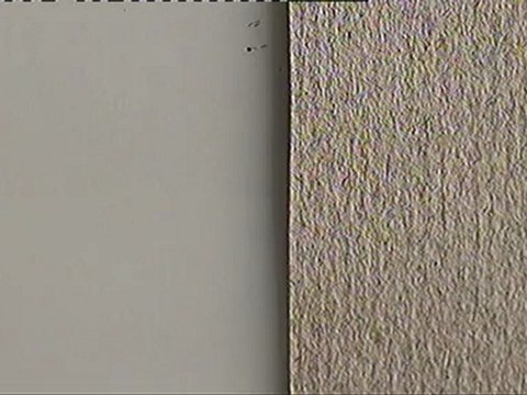 (Annecy 2012) Palmarès - The Making of Longbird