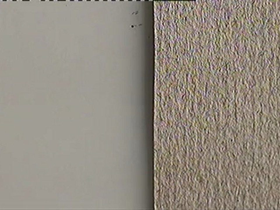 (Annecy 2012) Palmarès - The Making of Longbird