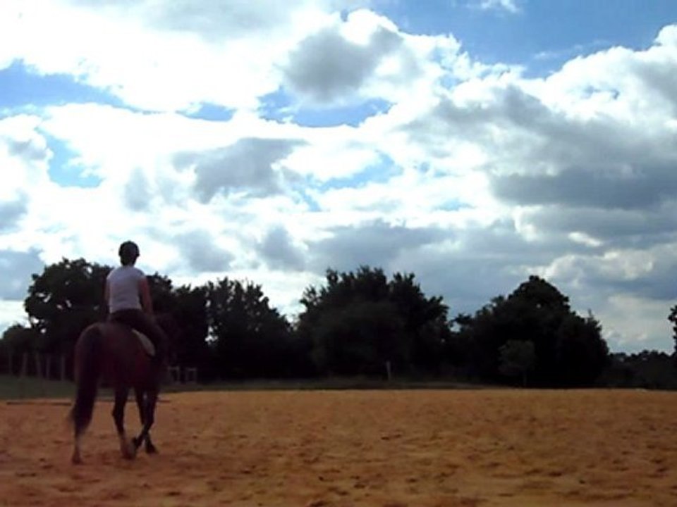 Travail sur le plat après passage ostéo