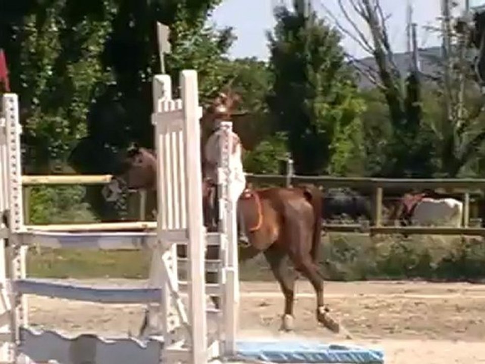 regal et moi club elite