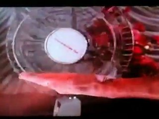 UC Davis Pepper Spray - escape techniques!