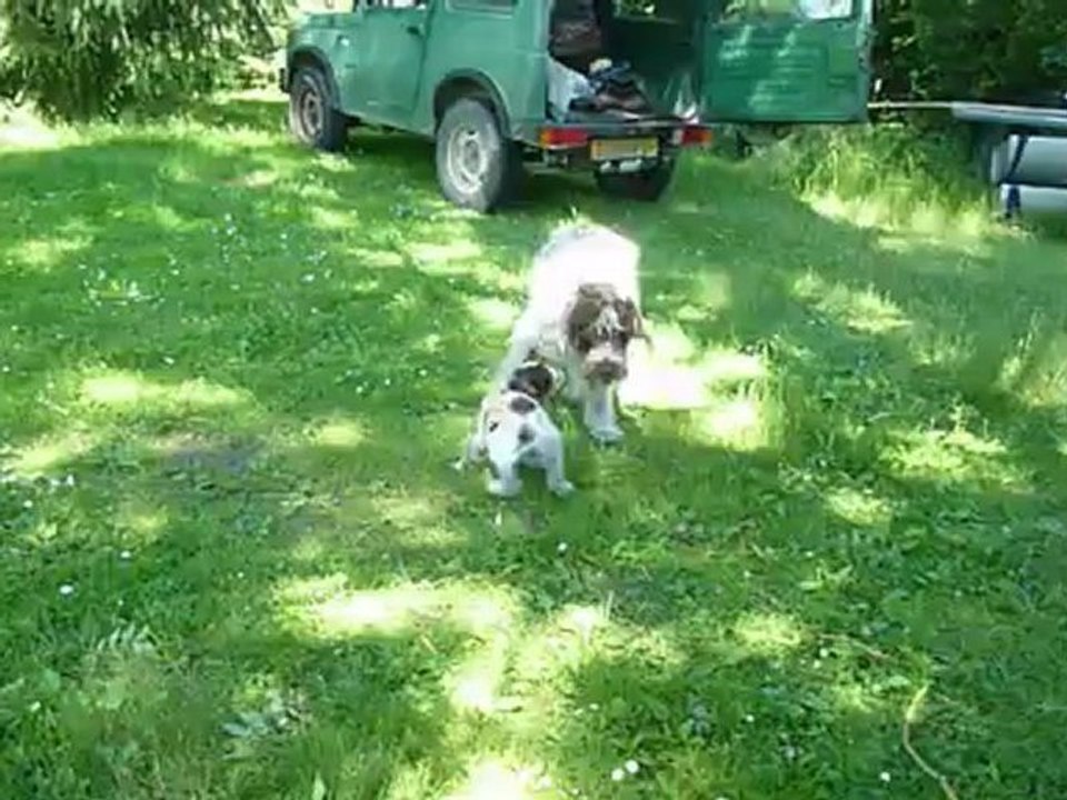 SIEGFRIED ET HORUS , le père et le fils Dimanche 17 juin 2012