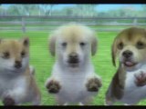 CGRundertow NINTENDOGS   CATS for Nintendo 3DS Video Game Review