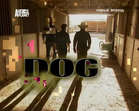 062-Переводчик с собачьего 2007