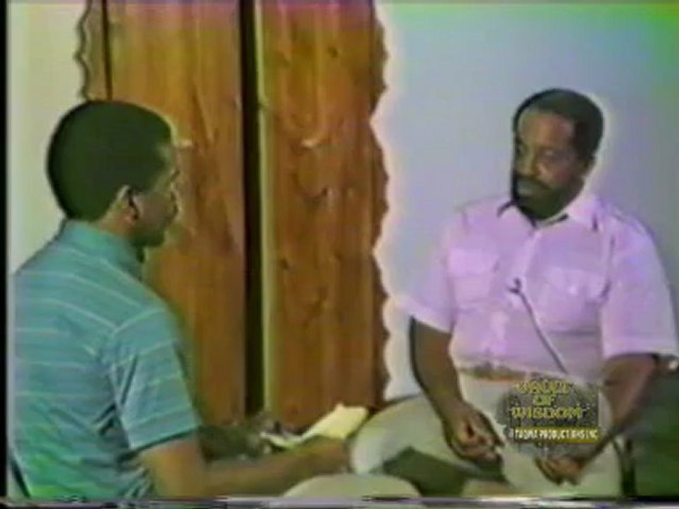 plemon interview wdm wmv