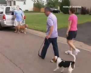 067-Переводчик с собачьего 2007