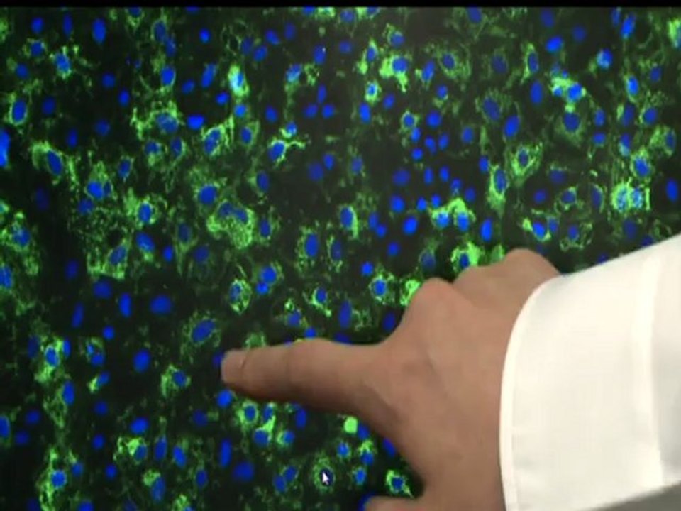 reportage Pr Yamanaka prix nobel de médecine 2012 cellules souches iPS au japon / iPS stem cells with medicine Nobel prize winner in japan