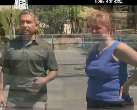 081-Переводчик с собачьего 2008