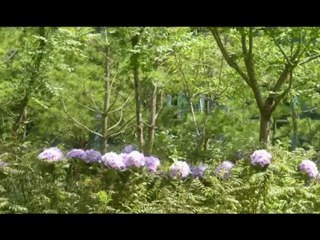 Never Ending Story part1