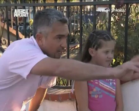 093-Переводчик с собачьего 2008