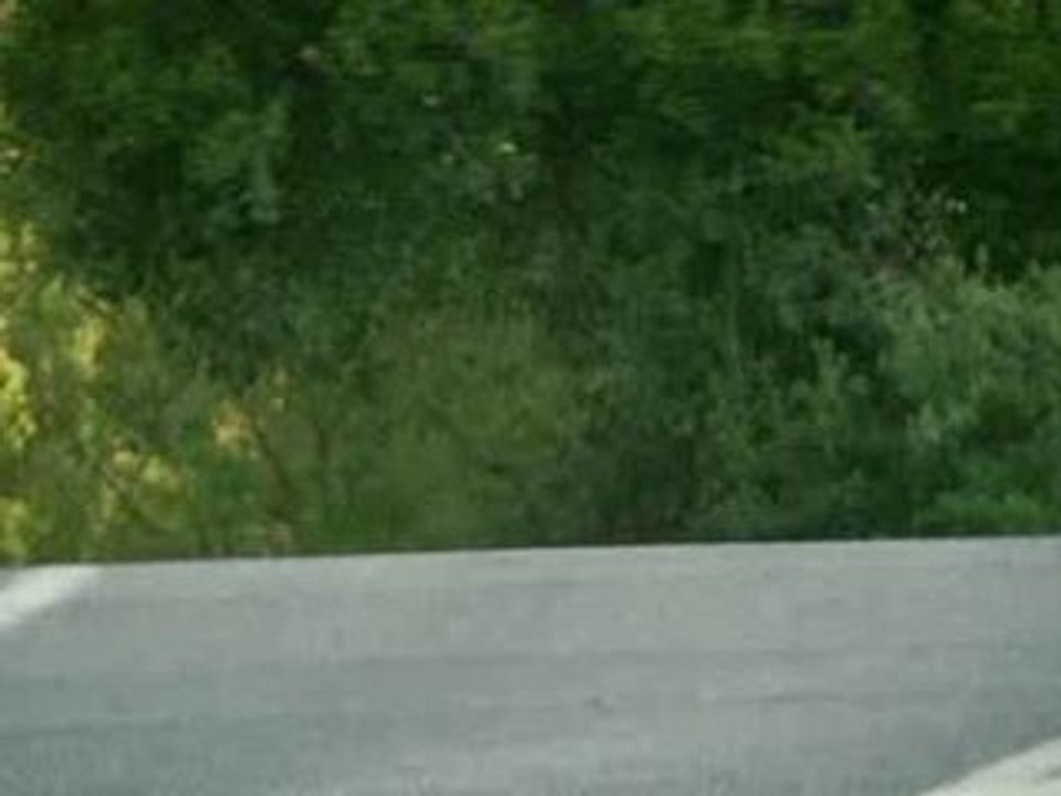 Baboulinet Jackass by mozinor