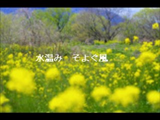 スカーフ L'écharpe (モーリス・ファノン&Maurice Fanon) シャンソン・訳詞