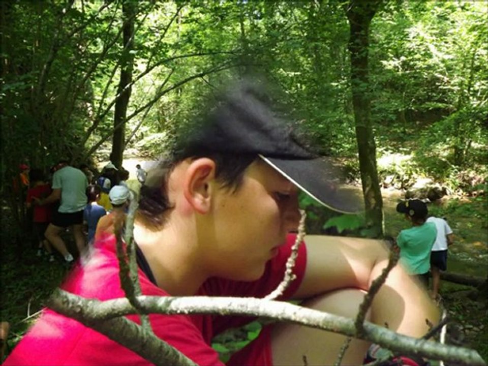 RAZISSE 2012