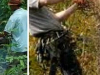 Burnetts Tree & Stump Removal (269) 449-6101