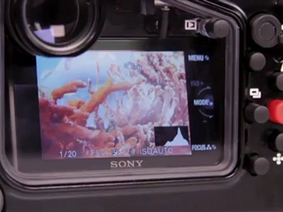 60:Second ScubaLab  - Nauticam NA-NEX-7 Housing