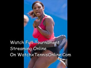 2012 June ATP Final Match