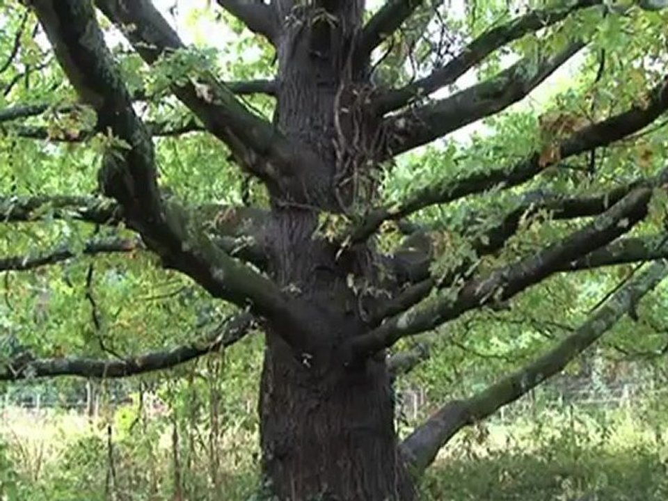 Nature en ville : la trame verte & bleue de Nantes Métropole (version longue)