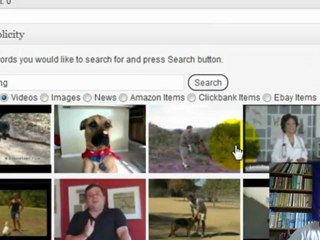 Using Wordpress To Create A Website - Personal Introduction